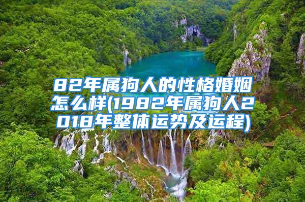 82年属狗人的性格婚姻怎么样(1982年属狗人2018年整体运势及运程)