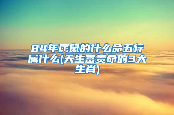 84年属鼠的什么命五行属什么(天生富贵命的3大生肖)