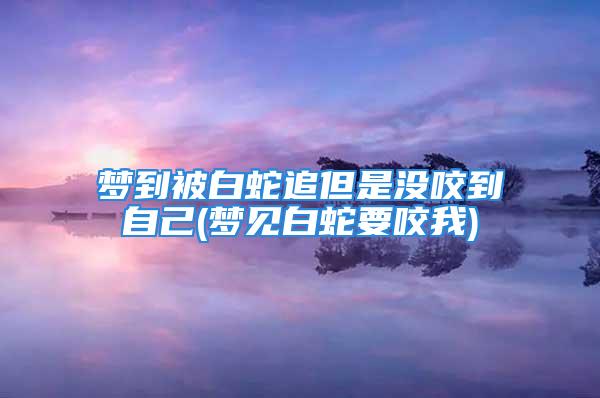 梦到被白蛇追但是没咬到自己(梦见白蛇要咬我)