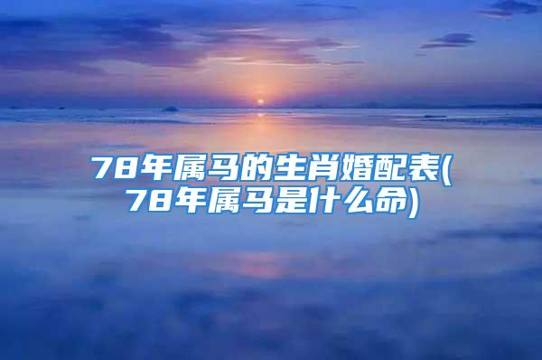 78年属马的生肖婚配表(78年属马是什么命)