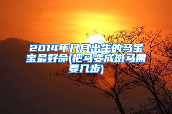 2014年几月出生的马宝宝最好命(把马变成斑马需要几步)