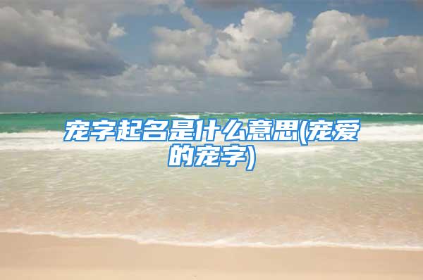 宠字起名是什么意思(宠爱的宠字)