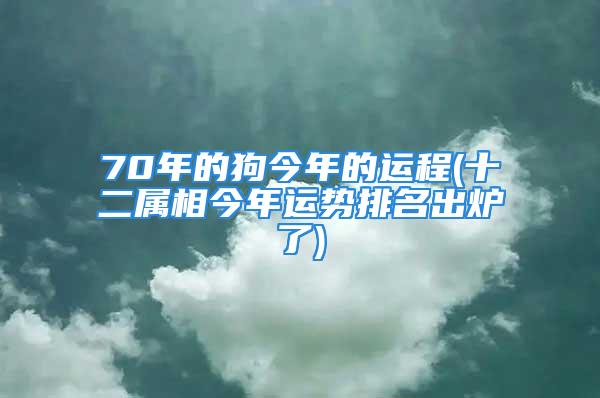 70年的狗今年的运程(十二属相今年运势排名出炉了)