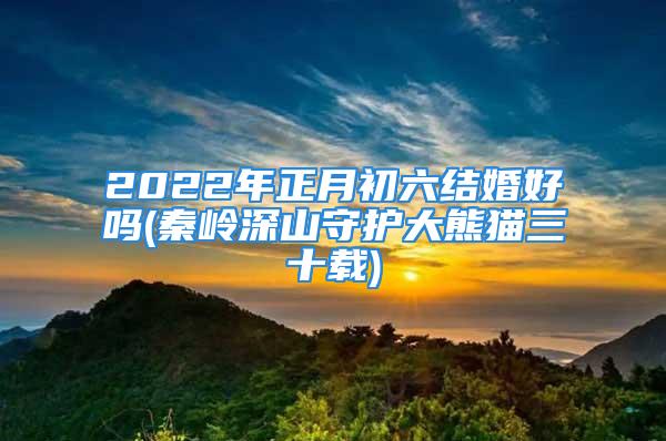 2022年正月初六结婚好吗(秦岭深山守护大熊猫三十载)