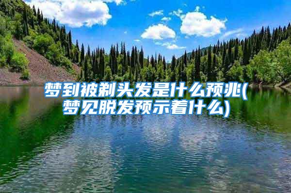 梦到被剃头发是什么预兆(梦见脱发预示着什么)