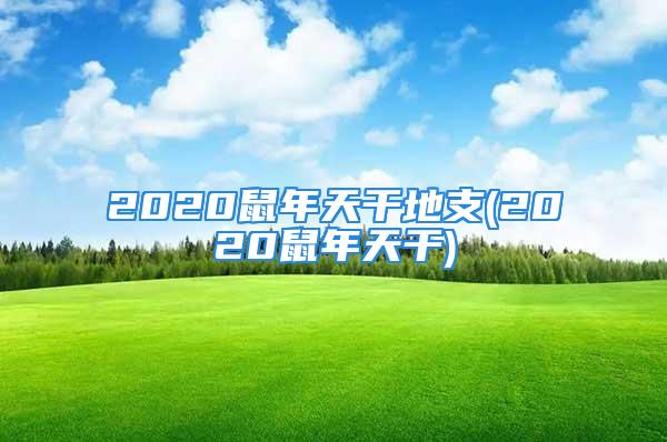 2020鼠年天干地支(2020鼠年天干)