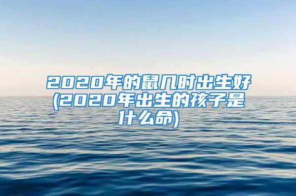 2020年的鼠几时出生好(2020年出生的孩子是什么命)