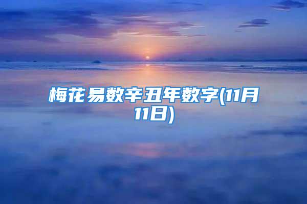 梅花易数辛丑年数字(11月11日)