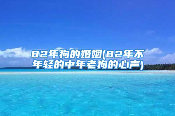 82年狗的婚姻(82年不年轻的中年老狗的心声)