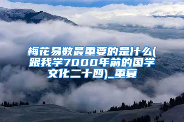 梅花易数最重要的是什么(跟我学7000年前的国学文化二十四)_重复