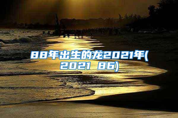 88年出生的龙2021年(2021 86)