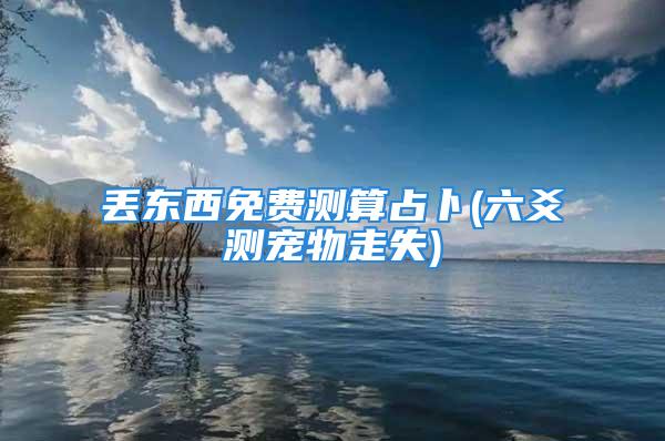 丢东西免费测算占卜(六爻测宠物走失)