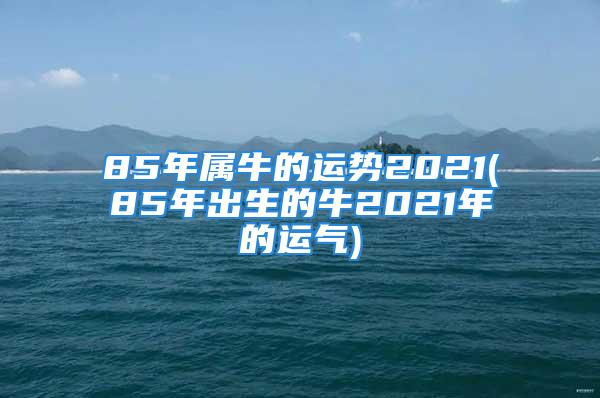 85年属牛的运势2021(85年出生的牛2021年的运气)