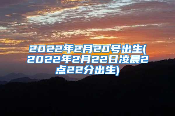 2022年2月20号出生(2022年2月22日凌晨2点22分出生)