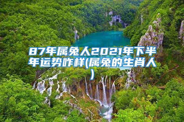 87年属兔人2021年下半年运势咋样(属兔的生肖人)