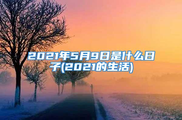 2021年5月9日是什么日子(2021的生活)