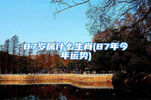 87岁属什么生肖(87年今年运势)