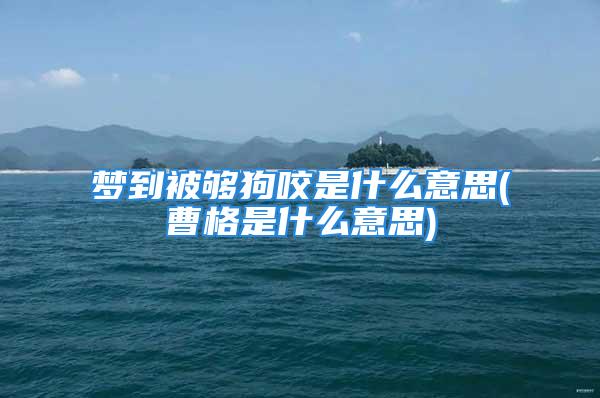 梦到被够狗咬是什么意思(曹格是什么意思)