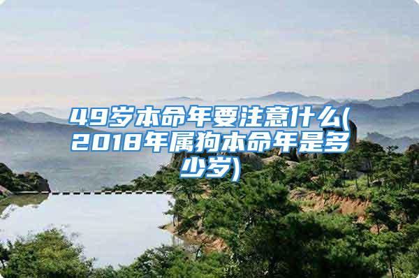 49岁本命年要注意什么(2018年属狗本命年是多少岁)