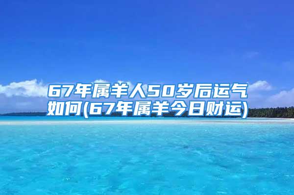 67年属羊人50岁后运气如何(67年属羊今日财运)