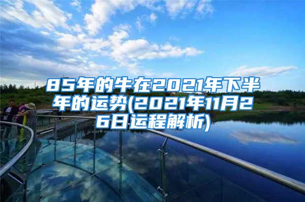 85年的牛在2021年下半年的运势(2021年11月26日运程解析)