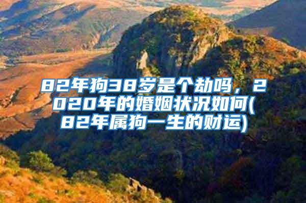 82年狗38岁是个劫吗，2020年的婚姻状况如何(82年属狗一生的财运)