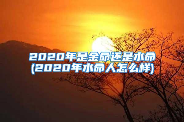 2020年是金命还是水命(2020年水命人怎么样)