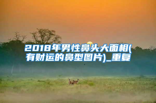 2018年男性鼻头大面相(有财运的鼻型图片)_重复