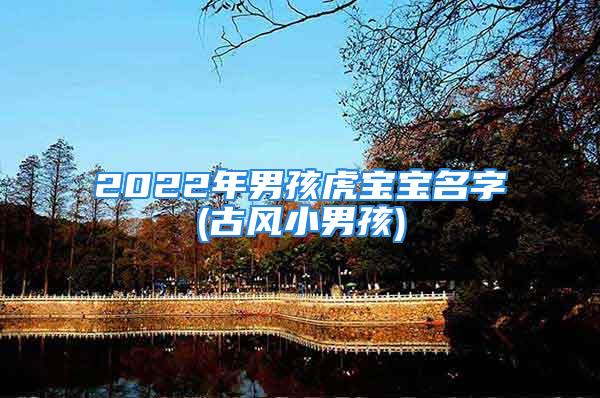 2022年男孩虎宝宝名字(古风小男孩)