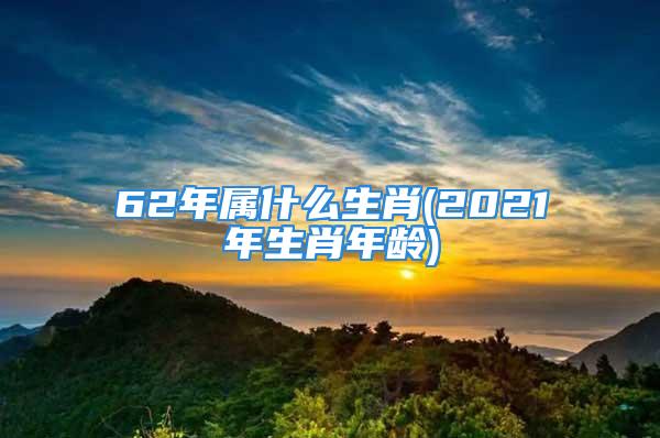 62年属什么生肖(2021年生肖年龄)