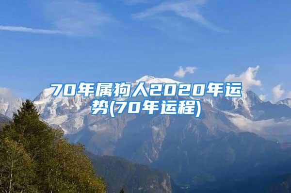 70年属狗人2020年运势(70年运程)