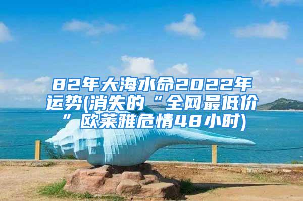 82年大海水命2022年运势(消失的“全网最低价”欧莱雅危情48小时)