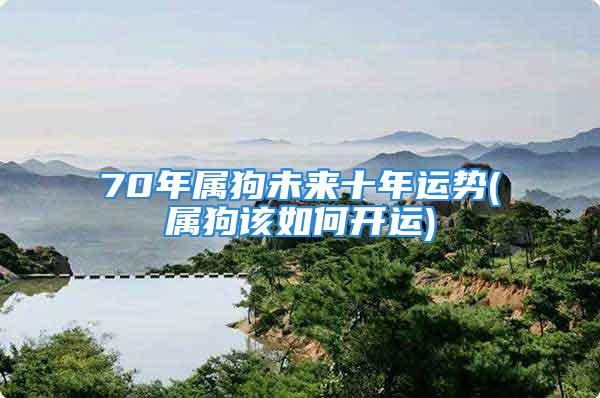 70年属狗未来十年运势(属狗该如何开运)