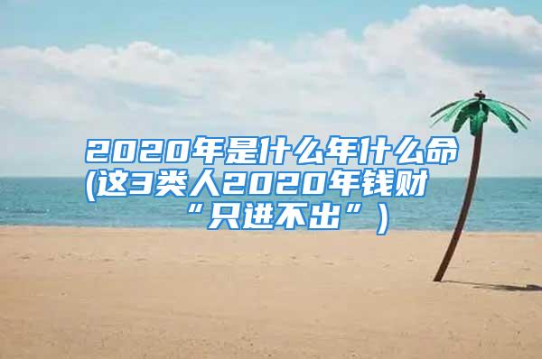 2020年是什么年什么命(这3类人2020年钱财“只进不出”)