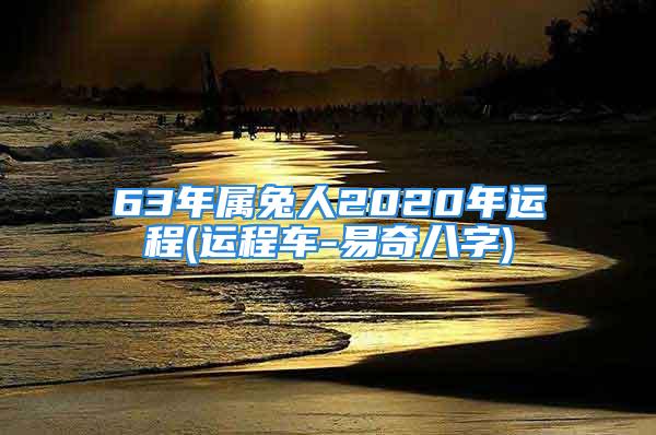 63年属兔人2020年运程(运程车-易奇八字)