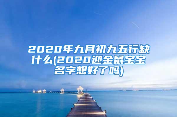 2020年九月初九五行缺什么(2020迎金鼠宝宝名字想好了吗)