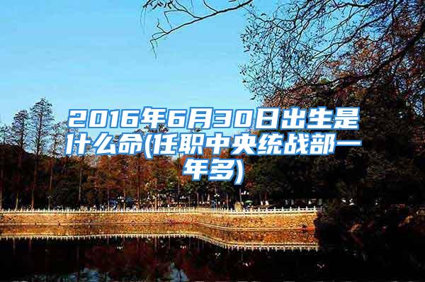 2016年6月30日出生是什么命(任职中央统战部一年多)