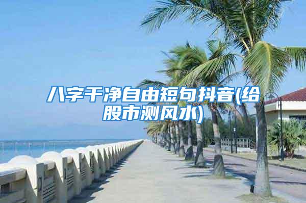 八字干净自由短句抖音(给股市测风水)