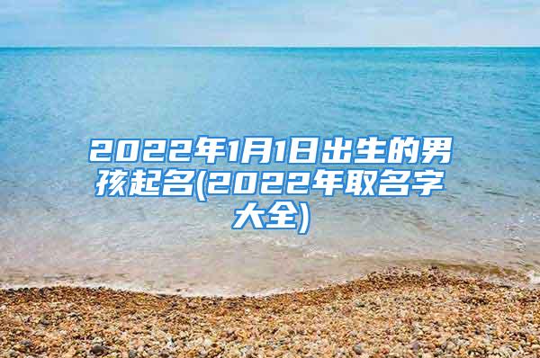 2022年1月1日出生的男孩起名(2022年取名字大全)