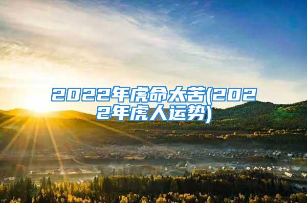 2022年虎命太苦(2022年虎人运势)