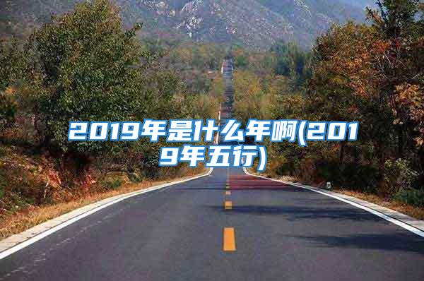 2019年是什么年啊(2019年五行)