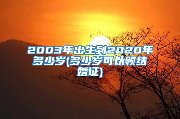 2003年出生到2020年多少岁(多少岁可以领结婚证)