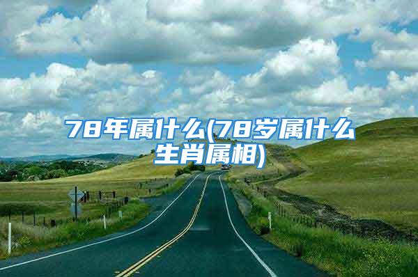 78年属什么(78岁属什么生肖属相)