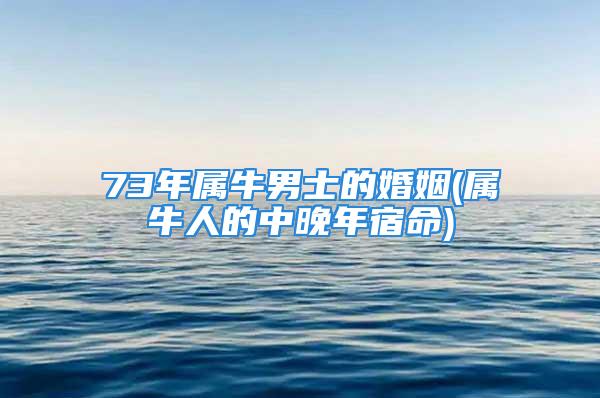 73年属牛男士的婚姻(属牛人的中晚年宿命)