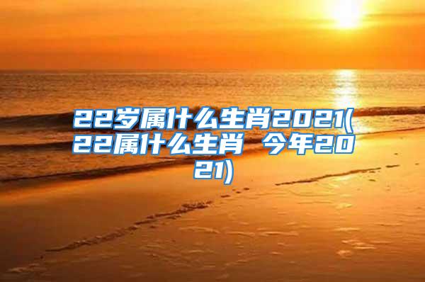 22岁属什么生肖2021(22属什么生肖 今年2021)