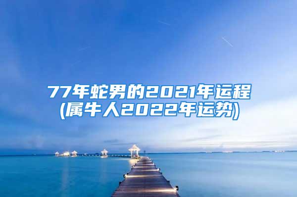 77年蛇男的2021年运程(属牛人2022年运势)