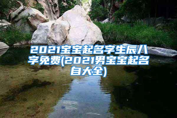 2021宝宝起名字生辰八字免费(2021男宝宝起名自大全)