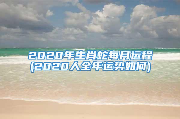 2020年生肖蛇每月运程(2020人全年运势如何)