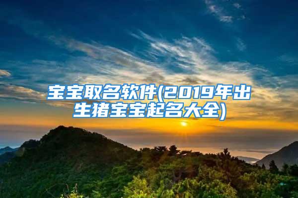 宝宝取名软件(2019年出生猪宝宝起名大全)