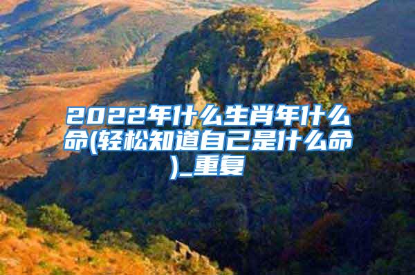 2022年什么生肖年什么命(轻松知道自己是什么命)_重复